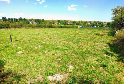 Teren de 6200 mp, în Ardud - 8