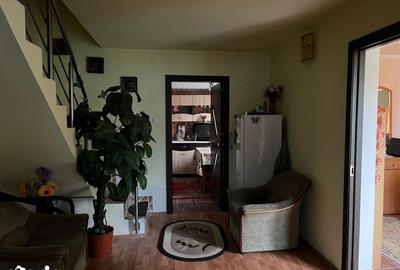 Casă cu 2 camere cu Teren 4368 Mp în Certeju de Sus - 6