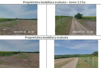 Teren padure, cota de 1/48 Horgesti, ID: R2325871 - 7