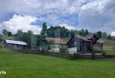 Spațiu comercial, în Bosanci - 6