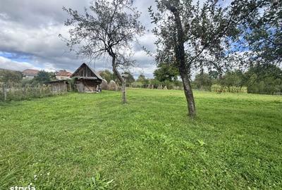 Casă cu 2 camere cu Teren 6605 Mp în Albești - 3