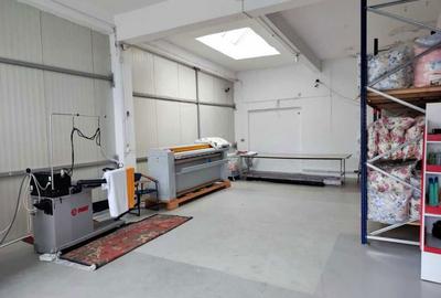 Spațiu comercial, de 545 mp, în Calea Severinului - 1