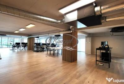 Spațiu comercial, de 280 mp, în Mărăști - 11