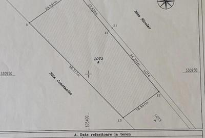 Branesti, sat Pasarea, teren deosebit - 5