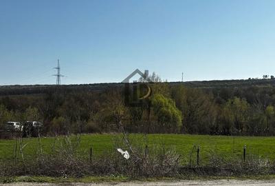Teren de 1500 mp, în Schitu Duca - 7