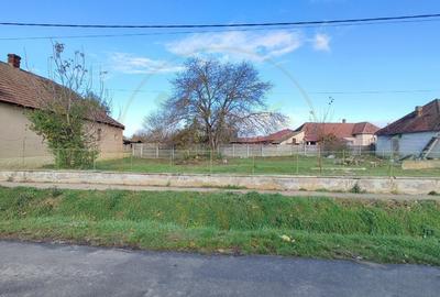 Teren Construcții intravilan de 703 mp, în Carei