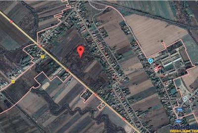 Teren de 29137 mp, în Vest - 5