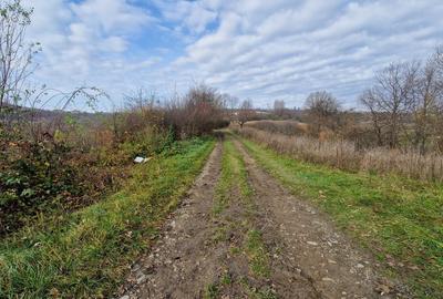 Teren de vânzare in Groși, Maramureș, 55 ari - 7