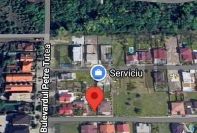 Teren de 600 mp, în Dumbrăvița - 3
