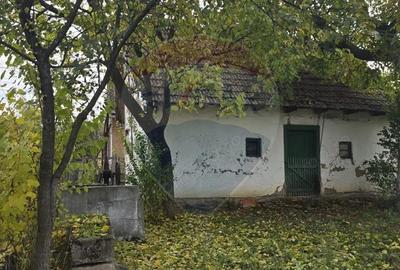 Teren generos cu potential in comuna Silindia, judetul Arad - 12