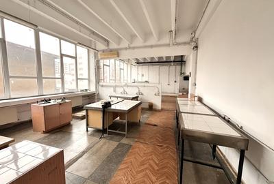 Birou, de 120 mp, în Timpuri Noi - 11