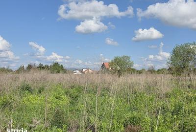 Teren de 800 mp, în Hărman - 2