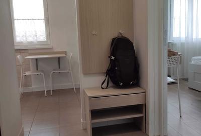 Garsonieră decomandată în Craiovița Nouă - 12