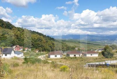 Teren de 785 mp, zona Dealul Jelnei - 1