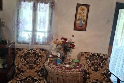 Casă cu 2 camere în Vidra - 5