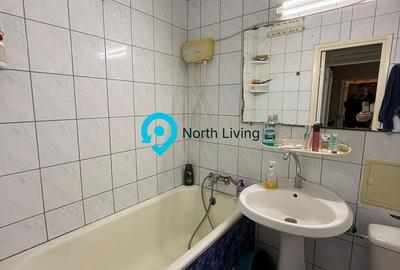 Apartament cu 3 camere semidecomandat în Ozana - 24