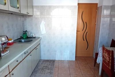 Apartament cu 3 camere decomandat în Găvana - 12