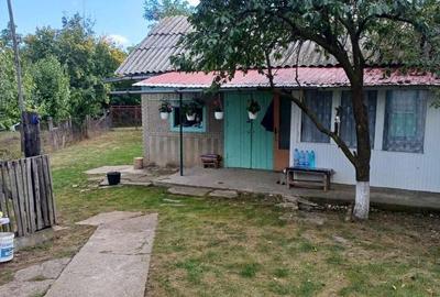 Casă cu 4 camere în Central - 1