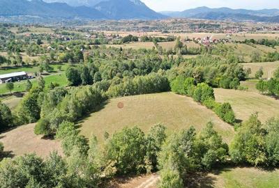 Teren intravilan, priveliste deosebita - 12