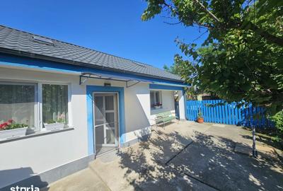 Casă cu 4 camere cu Teren 1387 Mp în Murighiol - 4