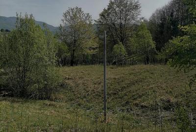 Teren agricol extravilan de 22000 mp, în Valea Doftanei - 8