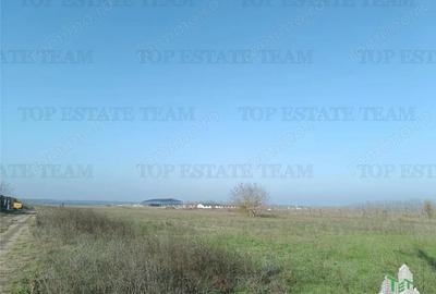 Super teren intravilan (Lot 1) la DJ 101, loc. Gruiu IF, ideal pentru dezvoltatori imobiliari pentr - 7