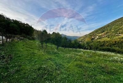 Teren 1812 mp de vanzare | Muntele Rece, cadru linistit, Comision 0% - 7