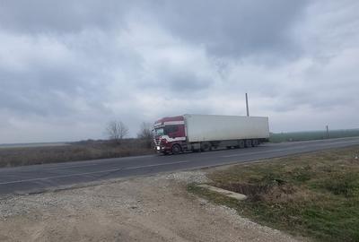 Teren cu potential, 90000 mp, DN2, Afumati, Sindrilita, 18 e/mp - 2