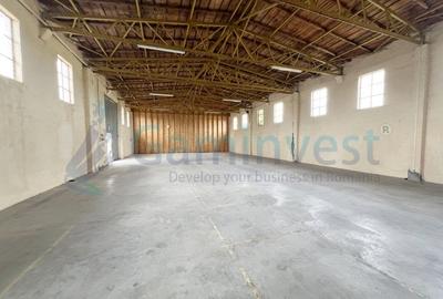 Spațiu industrial, de 288 mp, în Oșorhei - 5