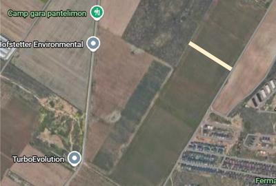 Teren de 5000 mp, în Dobroești - 2