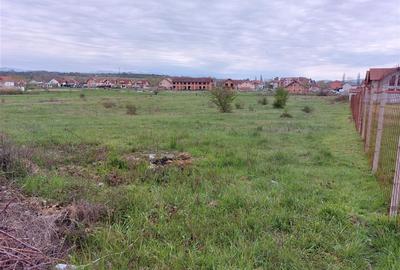 Teren Construcții intravilan de 4935 mp, în Periferie - 3