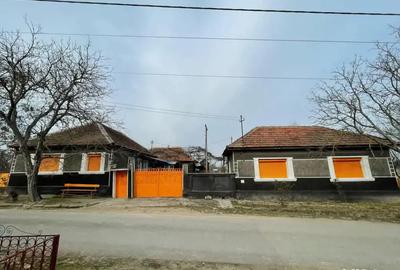 Casa de vanzare Cociuba Mare - 1