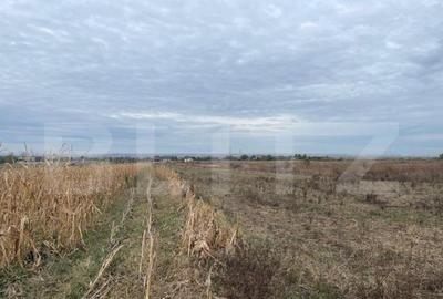 Teren extravilan de 2539 mp in Dudovicesti - 4