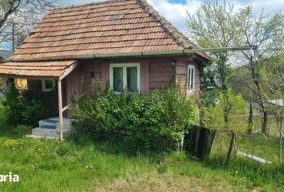 Casă cu 1 camere cu Teren 3750 Mp în Ciurila - 2