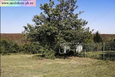 Teren Construcții intravilan de 1700 mp, în Cocoșești - 3