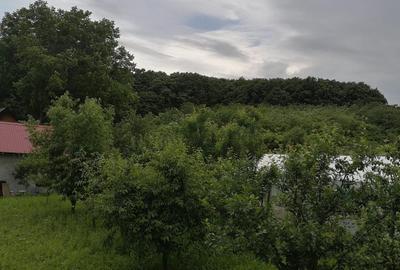 Vanzare Casa cu acces direct la padure in Valea Cucului, Comuna Iordacheanu - 15