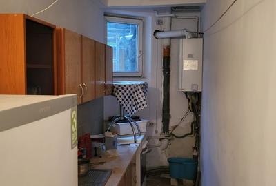 Stirbei Voda, Conservator - 6