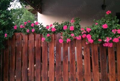 Casă cu 4 camere cu Teren 1000 Mp în Central - 8