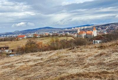 Teren de 24381 mp, în Central - 11