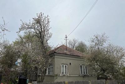 Teren de 2500 mp, în Gângiova - 1