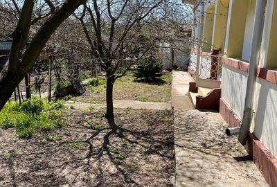 Casă cu 6 camere cu Teren 2597 Mp în Central - 13