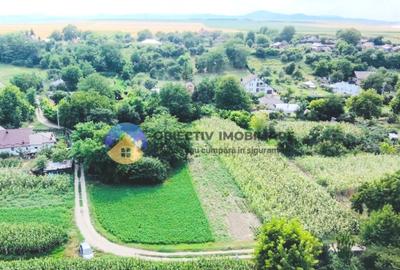 TEREN intravilan GIROV 4133 mp - 16