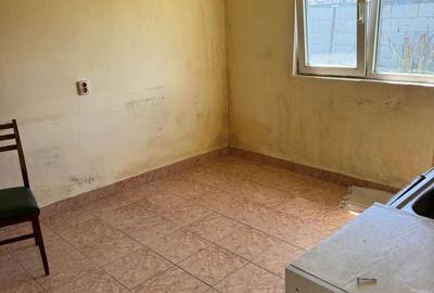 Casă cu 2 camere cu Teren 500 Mp în Valu lui Traian - 2