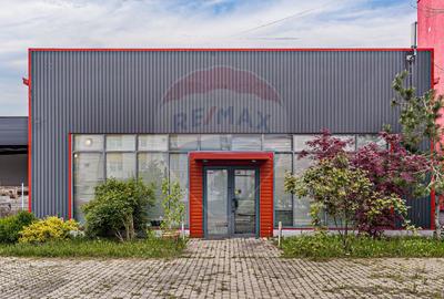 Hala industriala de vanzare in zona Micalaca - 7