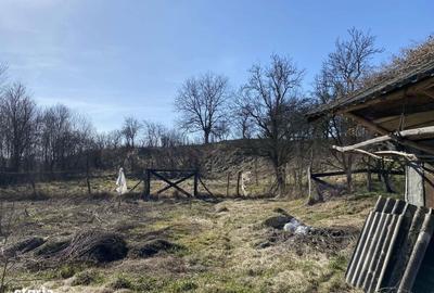 Casă cu 1 camere cu Teren 4400 Mp în Păsăreni - 1