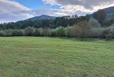 Teren intravilan 6000 mp, Pangarati, cu iesire la raul Bistrita - 4