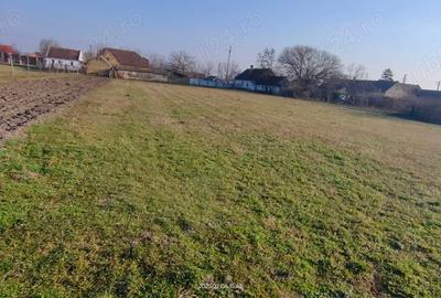 Casă cu 5 camere în Checea - 3