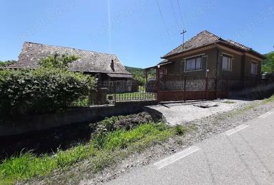 Casă cu 3 camere cu Teren 4000 Mp în Tămașa - 2