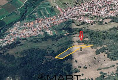 Teren extravilan 5500 mp, la padure zona Selimbar (Mohu) - 2