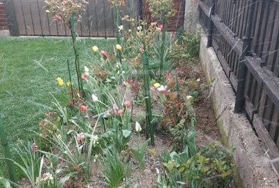 VILA MODERNA PARCUL TEILOR - IOR - 30